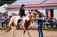 Equestrian photos by Pete's Photography of the 2024 Rockton World's Fair Equestrian Hunter Jumper series held in Rockton, Ontario, Canada.