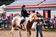 Equestrian photos by Pete's Photography of the 2024 Rockton World's Fair Equestrian Hunter Jumper series held in Rockton, Ontario, Canada.