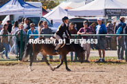 Equestrian photos by Pete's Photography of the 2024 Rockton World's Fair Equestrian Hunter Jumper series held in Rockton, Ontario, Canada.