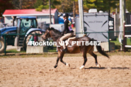 Equestrian photos by Pete's Photography of the 2024 Rockton World's Fair Equestrian Hunter Jumper series held in Rockton, Ontario, Canada.