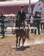 Equestrian photos by Pete's Photography of the 2024 Rockton World's Fair Equestrian Hunter Jumper series held in Rockton, Ontario, Canada.