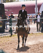 Equestrian photos by Pete's Photography of the 2024 Rockton World's Fair Equestrian Hunter Jumper series held in Rockton, Ontario, Canada.