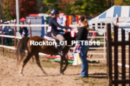 Equestrian photos by Pete's Photography of the 2024 Rockton World's Fair Equestrian Hunter Jumper series held in Rockton, Ontario, Canada.