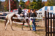 Equestrian photos by Pete's Photography of the 2024 Rockton World's Fair Equestrian Hunter Jumper series held in Rockton, Ontario, Canada.