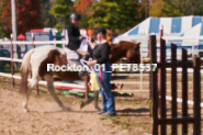 Equestrian photos by Pete's Photography of the 2024 Rockton World's Fair Equestrian Hunter Jumper series held in Rockton, Ontario, Canada.