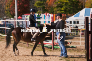 Equestrian photos by Pete's Photography of the 2024 Rockton World's Fair Equestrian Hunter Jumper series held in Rockton, Ontario, Canada.