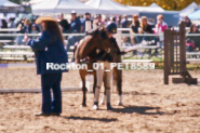 Equestrian photos by Pete's Photography of the 2024 Rockton World's Fair Equestrian Hunter Jumper series held in Rockton, Ontario, Canada.