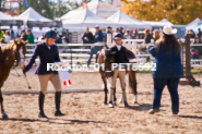 Equestrian photos by Pete's Photography of the 2024 Rockton World's Fair Equestrian Hunter Jumper series held in Rockton, Ontario, Canada.