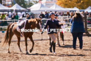 Equestrian photos by Pete's Photography of the 2024 Rockton World's Fair Equestrian Hunter Jumper series held in Rockton, Ontario, Canada.