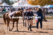 Equestrian photos by Pete's Photography of the 2024 Rockton World's Fair Equestrian Hunter Jumper series held in Rockton, Ontario, Canada.