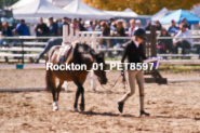 Equestrian photos by Pete's Photography of the 2024 Rockton World's Fair Equestrian Hunter Jumper series held in Rockton, Ontario, Canada.