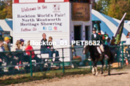 Equestrian photos by Pete's Photography of the 2024 Rockton World's Fair Equestrian Hunter Jumper series held in Rockton, Ontario, Canada.