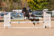 Equestrian photos by Pete's Photography of the 2024 Rockton World's Fair Equestrian Hunter Jumper series held in Rockton, Ontario, Canada.