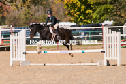 Equestrian photos by Pete's Photography of the 2024 Rockton World's Fair Equestrian Hunter Jumper series held in Rockton, Ontario, Canada.