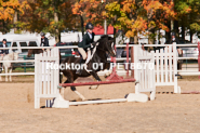 Equestrian photos by Pete's Photography of the 2024 Rockton World's Fair Equestrian Hunter Jumper series held in Rockton, Ontario, Canada.