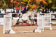 Equestrian photos by Pete's Photography of the 2024 Rockton World's Fair Equestrian Hunter Jumper series held in Rockton, Ontario, Canada.