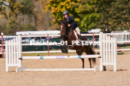 Equestrian photos by Pete's Photography of the 2024 Rockton World's Fair Equestrian Hunter Jumper series held in Rockton, Ontario, Canada.