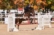 Equestrian photos by Pete's Photography of the 2024 Rockton World's Fair Equestrian Hunter Jumper series held in Rockton, Ontario, Canada.