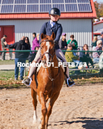 Equestrian photos by Pete's Photography of the 2024 Rockton World's Fair Equestrian Hunter Jumper series held in Rockton, Ontario, Canada.