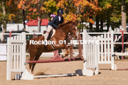 Equestrian photos by Pete's Photography of the 2024 Rockton World's Fair Equestrian Hunter Jumper series held in Rockton, Ontario, Canada.