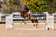 Equestrian photos by Pete's Photography of the 2024 Rockton World's Fair Equestrian Hunter Jumper series held in Rockton, Ontario, Canada.