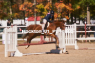 Equestrian photos by Pete's Photography of the 2024 Rockton World's Fair Equestrian Hunter Jumper series held in Rockton, Ontario, Canada.