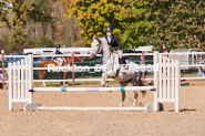 Equestrian photos by Pete's Photography of the 2024 Rockton World's Fair Equestrian Hunter Jumper series held in Rockton, Ontario, Canada.