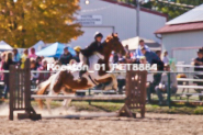 Equestrian photos by Pete's Photography of the 2024 Rockton World's Fair Equestrian Hunter Jumper series held in Rockton, Ontario, Canada.