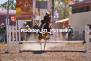 Equestrian photos by Pete's Photography of the 2024 Rockton World's Fair Equestrian Hunter Jumper series held in Rockton, Ontario, Canada.