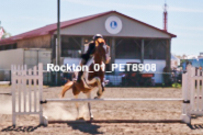 Equestrian photos by Pete's Photography of the 2024 Rockton World's Fair Equestrian Hunter Jumper series held in Rockton, Ontario, Canada.