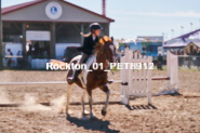 Equestrian photos by Pete's Photography of the 2024 Rockton World's Fair Equestrian Hunter Jumper series held in Rockton, Ontario, Canada.