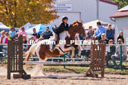 Equestrian photos by Pete's Photography of the 2024 Rockton World's Fair Equestrian Hunter Jumper series held in Rockton, Ontario, Canada.