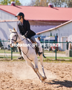 Equestrian photos by Pete's Photography of the 2024 Rockton World's Fair Equestrian Hunter Jumper series held in Rockton, Ontario, Canada.