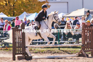 Equestrian photos by Pete's Photography of the 2024 Rockton World's Fair Equestrian Hunter Jumper series held in Rockton, Ontario, Canada.