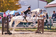 Equestrian photos by Pete's Photography of the 2024 Rockton World's Fair Equestrian Hunter Jumper series held in Rockton, Ontario, Canada.