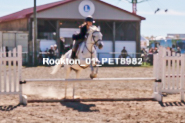 Equestrian photos by Pete's Photography of the 2024 Rockton World's Fair Equestrian Hunter Jumper series held in Rockton, Ontario, Canada.