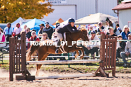 Equestrian photos by Pete's Photography of the 2024 Rockton World's Fair Equestrian Hunter Jumper series held in Rockton, Ontario, Canada.