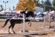 Equestrian photos by Pete's Photography of the 2024 Rockton World's Fair Equestrian Hunter Jumper series held in Rockton, Ontario, Canada.