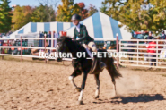 Equestrian photos by Pete's Photography of the 2024 Rockton World's Fair Equestrian Hunter Jumper series held in Rockton, Ontario, Canada.