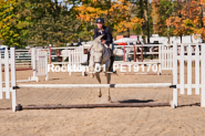 Equestrian photos by Pete's Photography of the 2024 Rockton World's Fair Equestrian Hunter Jumper series held in Rockton, Ontario, Canada.