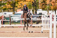 Equestrian photos by Pete's Photography of the 2024 Rockton World's Fair Equestrian Hunter Jumper series held in Rockton, Ontario, Canada.