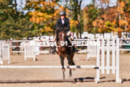 Equestrian photos by Pete's Photography of the 2024 Rockton World's Fair Equestrian Hunter Jumper series held in Rockton, Ontario, Canada.