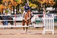 Equestrian photos by Pete's Photography of the 2024 Rockton World's Fair Equestrian Hunter Jumper series held in Rockton, Ontario, Canada.