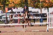 Equestrian photos by Pete's Photography of the 2024 Rockton World's Fair Equestrian Hunter Jumper series held in Rockton, Ontario, Canada.