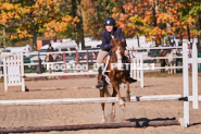 Equestrian photos by Pete's Photography of the 2024 Rockton World's Fair Equestrian Hunter Jumper series held in Rockton, Ontario, Canada.