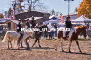 Equestrian photos by Pete's Photography of the 2024 Rockton World's Fair Equestrian Hunter Jumper series held in Rockton, Ontario, Canada.