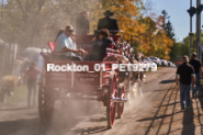 Equestrian photos by Pete's Photography of the 2024 Rockton World's Fair Equestrian Hunter Jumper series held in Rockton, Ontario, Canada.