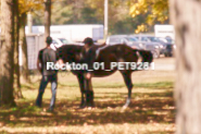 Equestrian photos by Pete's Photography of the 2024 Rockton World's Fair Equestrian Hunter Jumper series held in Rockton, Ontario, Canada.