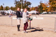 Equestrian photos by Pete's Photography of the 2024 Rockton World's Fair Equestrian Hunter Jumper series held in Rockton, Ontario, Canada.