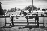 Equestrian photos by Pete's Photography of the 2024 Rockton World's Fair Equestrian Hunter Jumper series held in Rockton, Ontario, Canada.